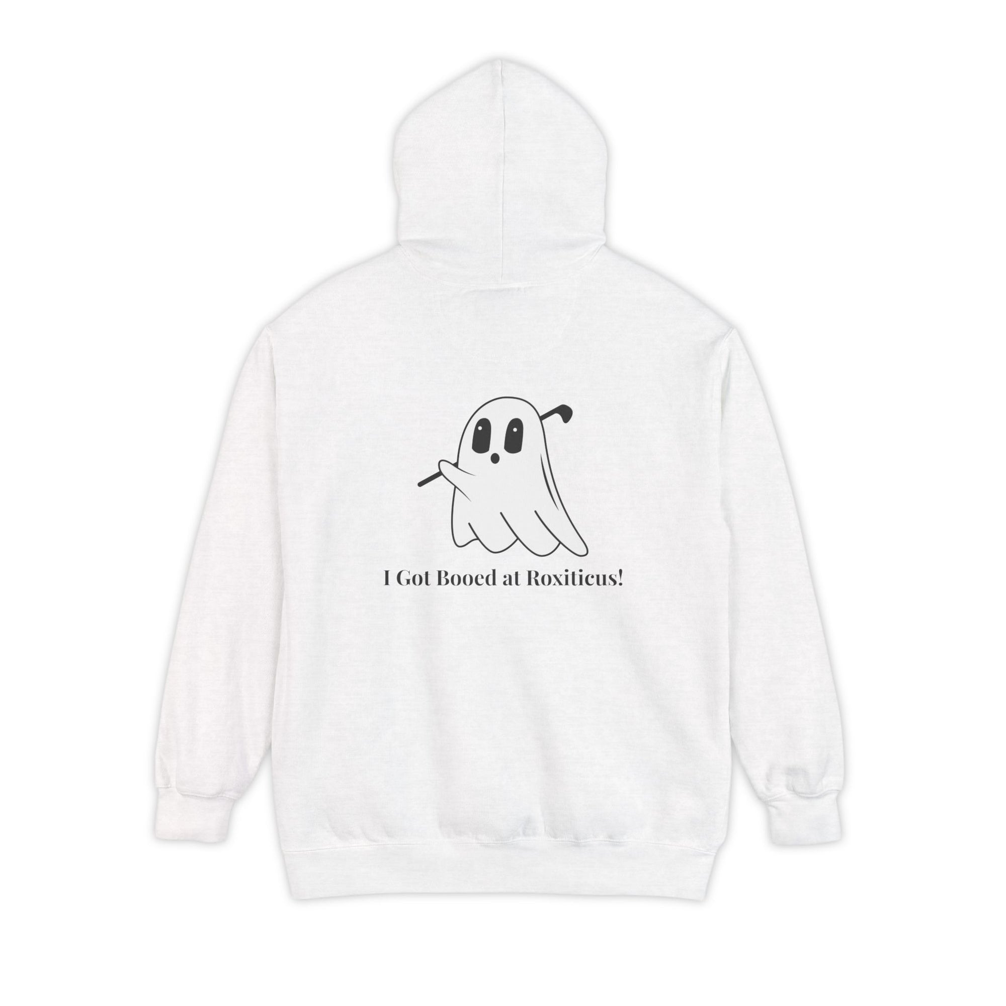 I Got Booed Unisex Garment-Dyed Hoodie