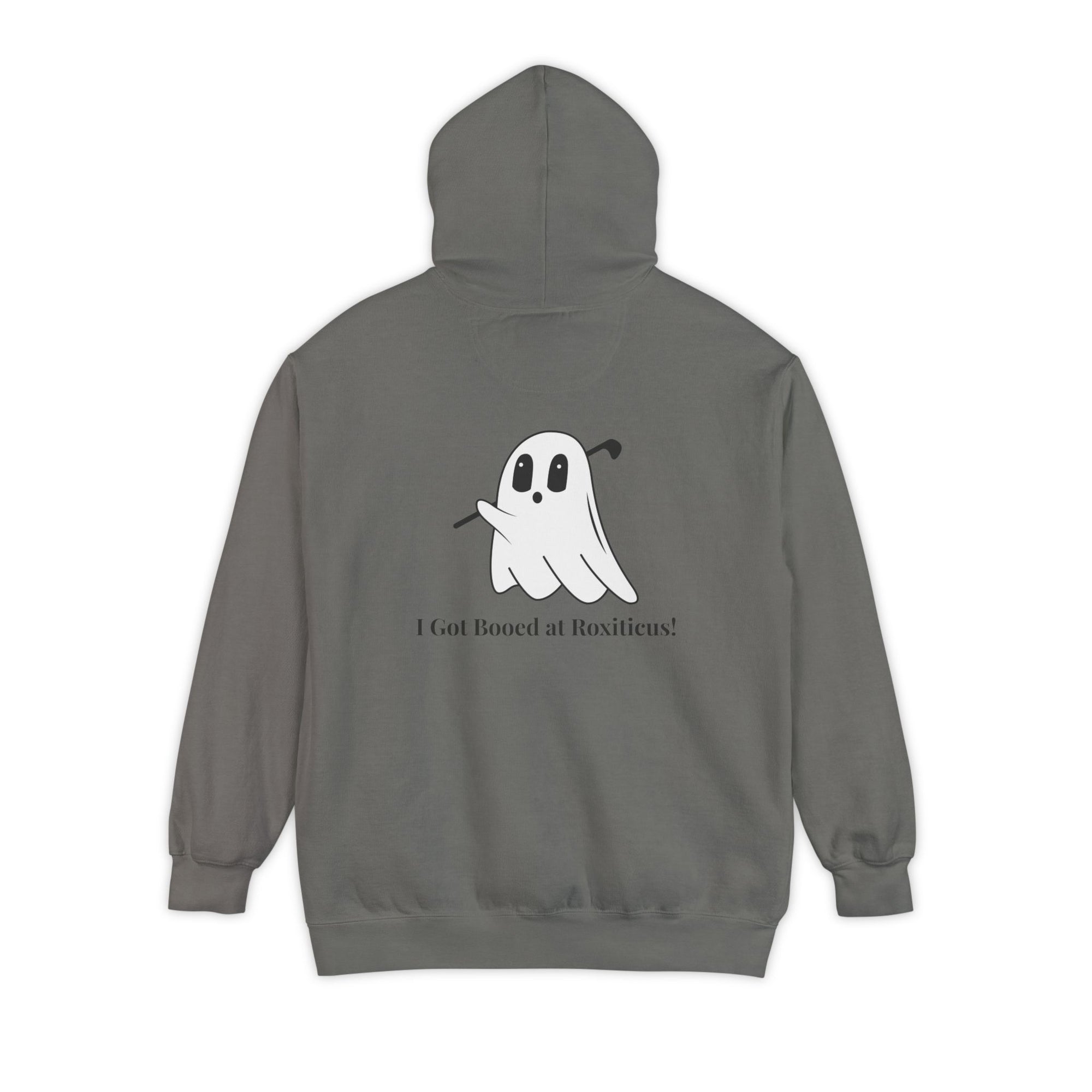 I Got Booed Unisex Garment-Dyed Hoodie